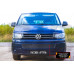 Защитная сетка и заглушка решетки переднего бампера Volkswagen Multivan (T5 рестайлинг) 2009-2015