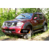 Защитная сетка решетки радиатора Nissan Pathfinder 2004-2010 (R51)