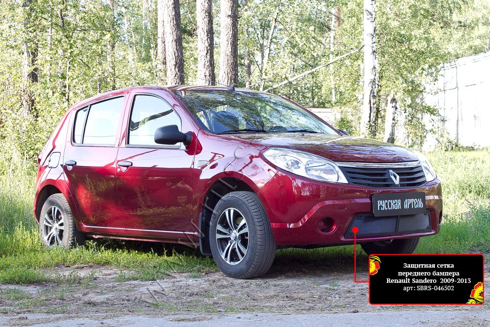 Защитная сетка и заглушка переднего бампера Renault Sandero 2009-2013