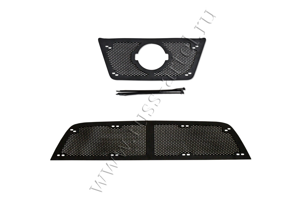 Защитная сетка решетки радиатора и решетки переднего бампера Nissan Terrano 2014-2015